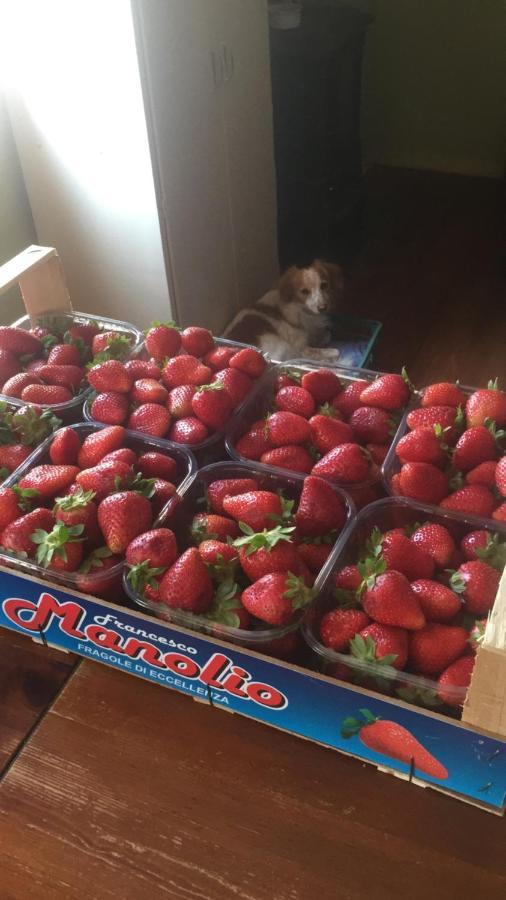 B&B Monte Donato Bolonia Zewnętrze zdjęcie